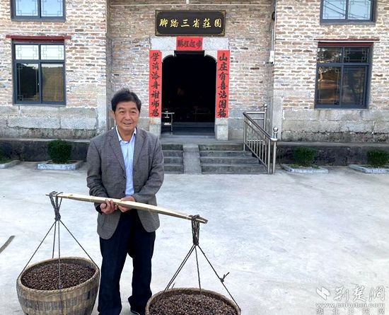 何道關(guān)與自己種的油茶果。黃錚 攝_副本.jpg.jpg